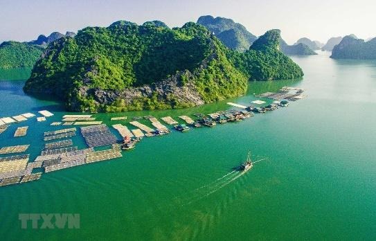 lidotravels.com