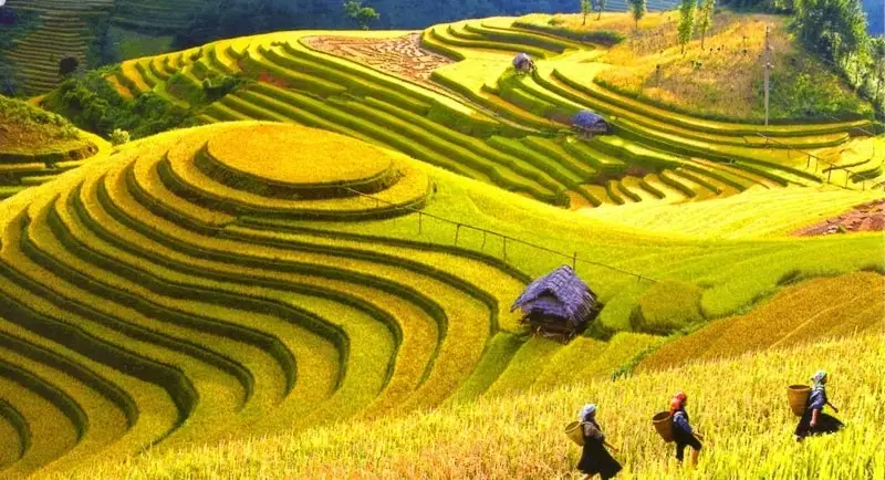 lidotravels.com