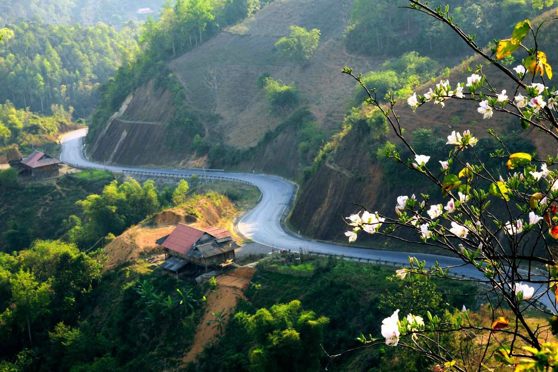lidotravels.com