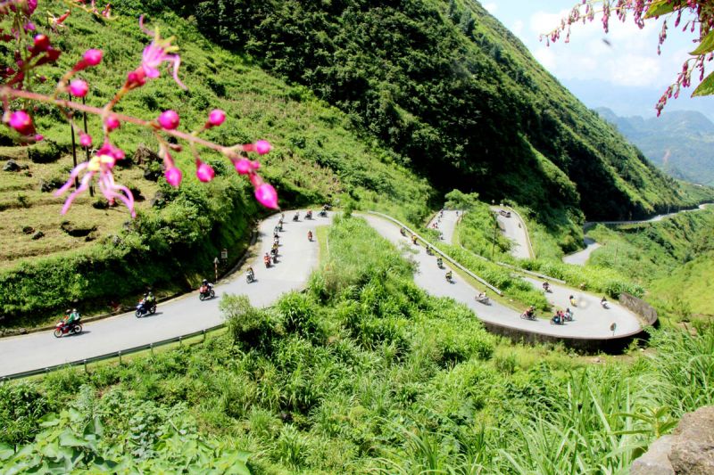 lidotravels.com