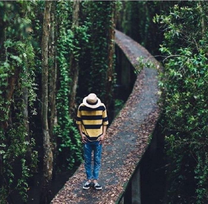 Về Đồng Tháp khám phá khu du lịch Xẻo Quýt