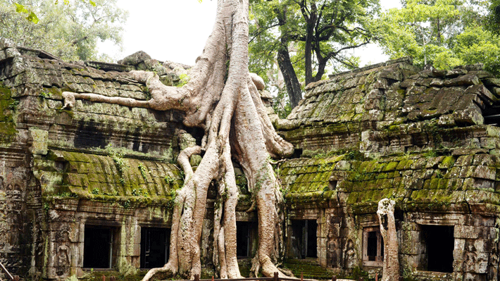 lidotravels.com