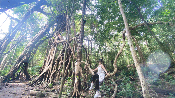 lidotravels.com